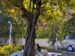 -大梅沙海滨公园