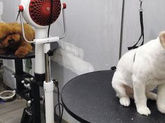 -PETKIT小佩宠物(古北店)