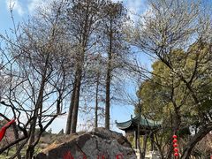 -无锡梅园公园