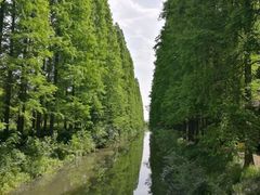 -金岛生态园烧烤露营地