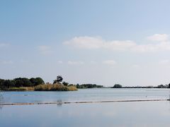-贡湖湾湿地公园