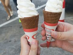 -富豪雪糕车流动点(尖沙咀店)