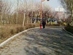 -长春公园(普阳街道)