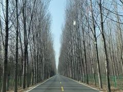 -柳沟豆腐宴69号福豆堂