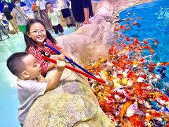 -石家庄极地海洋世界