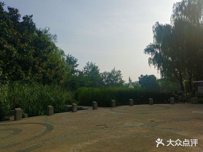 杨凌树木园图片