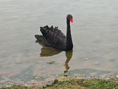 -琅岐红光湖公园