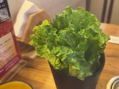 -九田家黑牛烤肉料理(衡百国际店)