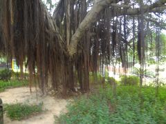 -大嶝英雄三岛战地观光园