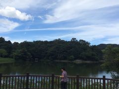 -广州市石门国家森林公园