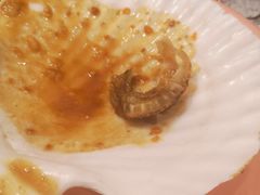 -争鲜回转寿司(南开大悦城店)