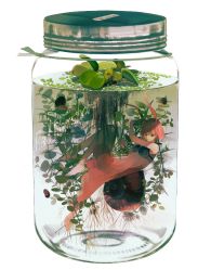 -刺客纹画纹身·洗纹身·穿孔饰品