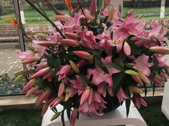-上海鲜花港