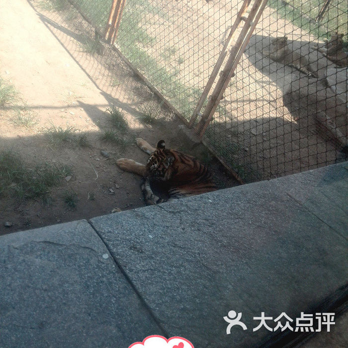 北京野生動物園