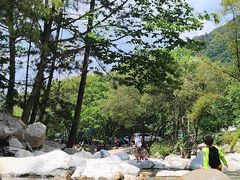 -朱雀国家森林公园