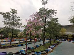 -南丹山森林王国