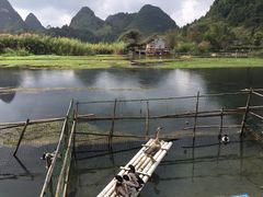 -靖西鹅泉风景区