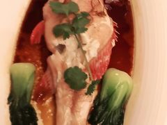 -顺峰(农展馆店)