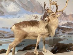 -陕西自然博物馆