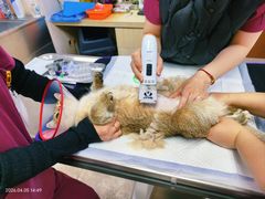 -美联众合动物医院·24h转诊中心