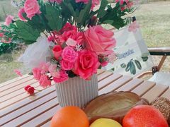 -光明小镇欢乐田园