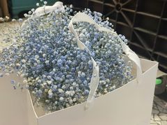 -BOBLOOM花店(宝龙旭辉广场店)