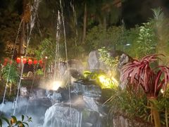 -花溪雨·森林餐厅(石基店)