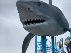 -海合安武汉极地海洋公园