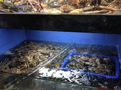 水产区-徐记海鲜(大雁塔|金都店)