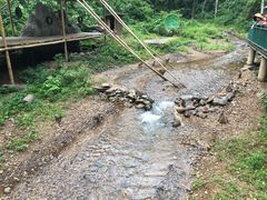 -西双版纳原始森林公园