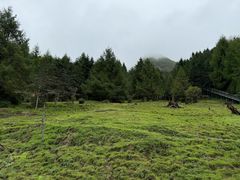 -硗碛藏寨·神木垒景区