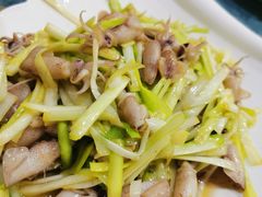 韭黄炒海兔-老院子饭店·鲁菜·海鲜·家常菜