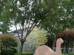 -南宫五洲植物乐园