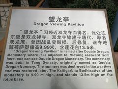 -金鸡山公园