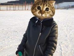 -十三陵雪世界滑雪场