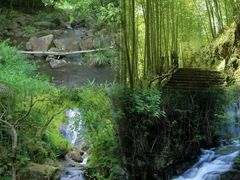 -千泷沟大瀑布旅游区
