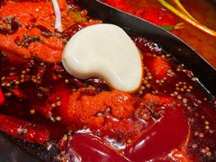 -董眼镜火锅(洪崖洞总店)