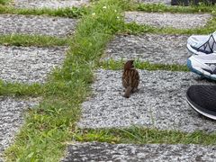 -横滨红砖仓库1号馆