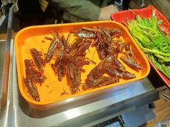 -柿子树炭烤羊腿(金台路店)