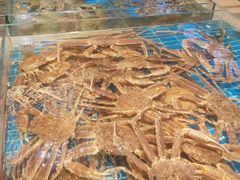 -新丁香海鲜酒店(银海商贸城店)