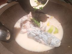 -鲜潭蒸汽石锅鱼(五道口购物中心店)