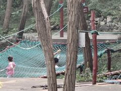 -原山国家森林公园