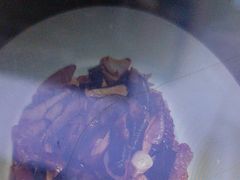 -老蒲鲜(涵江店)