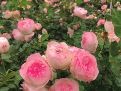 -人民公园(罗湖区)