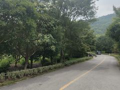 -九龙潭景区
