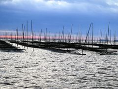 -北岐滩涂