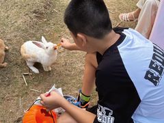 -灵玲国际马戏城
