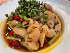 藤椒脆鱼肚-新南华大酒店(广中店)