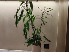 -守田肩颈·推拿SPA(颐豪旗舰店)