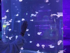 -暹罗海洋世界